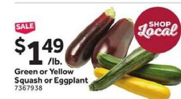 Green or Yellow Squash or Eggplant