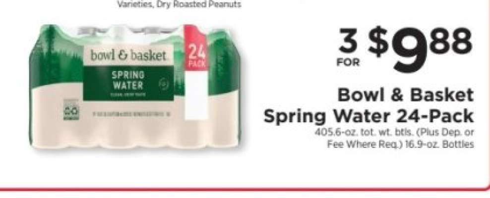 Bowl & Basket Spring Water 24-Pack
