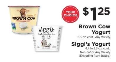 Brown Cow Yogurt / Siggi’s Yogurt