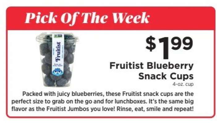 Fruitist Blueberry Snack Cups