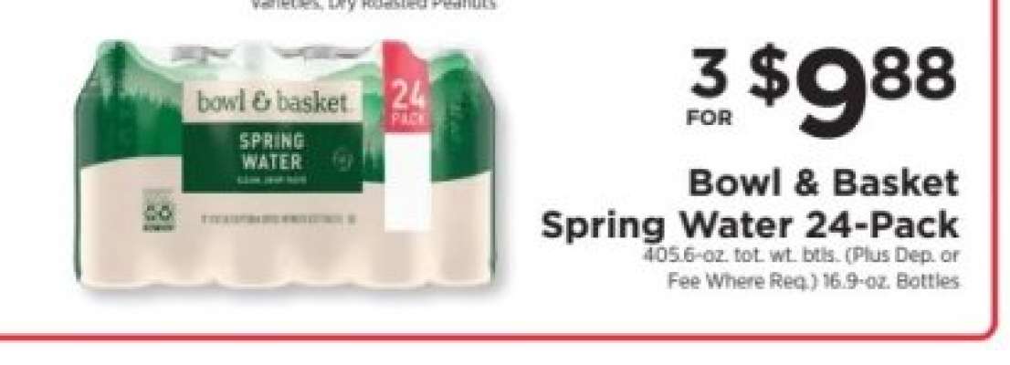 Bowl & Basket Spring Water 24-Pack