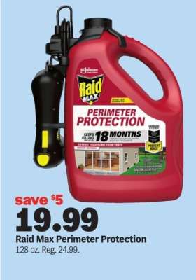 Raid Max Perimeter Protection