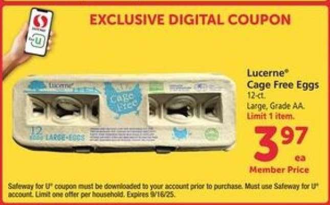 Lucerne Cage Free Eggs