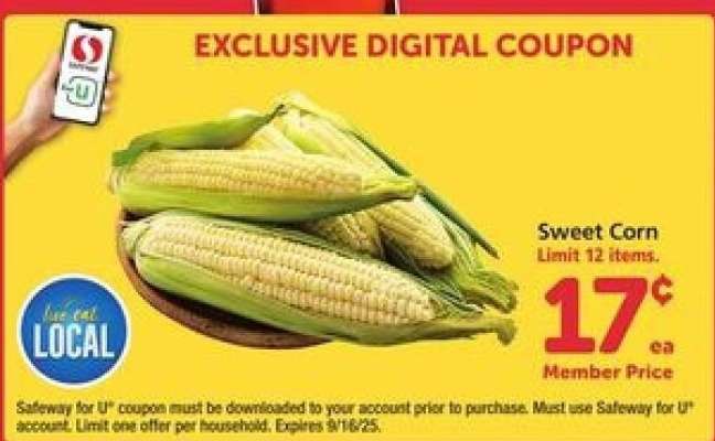 Sweet Corn