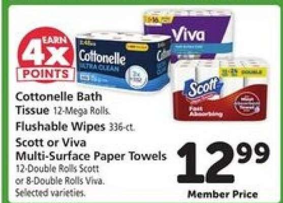 Scott or Viva Multi-Surface Paper Towels