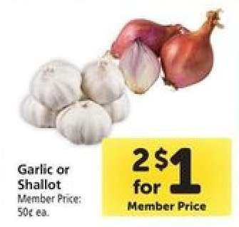 Garlic or Shallot