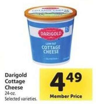 Darigold Cottage Cheese