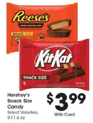 Hershey's Snack Size Candy