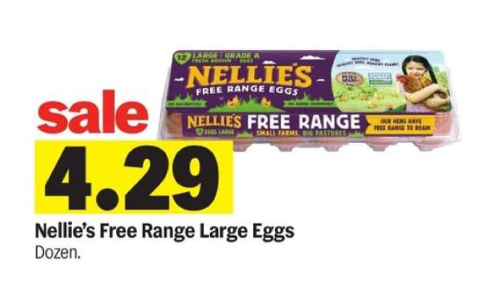 Nellie's Free Range Large Eggs