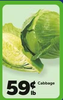 Cabbage