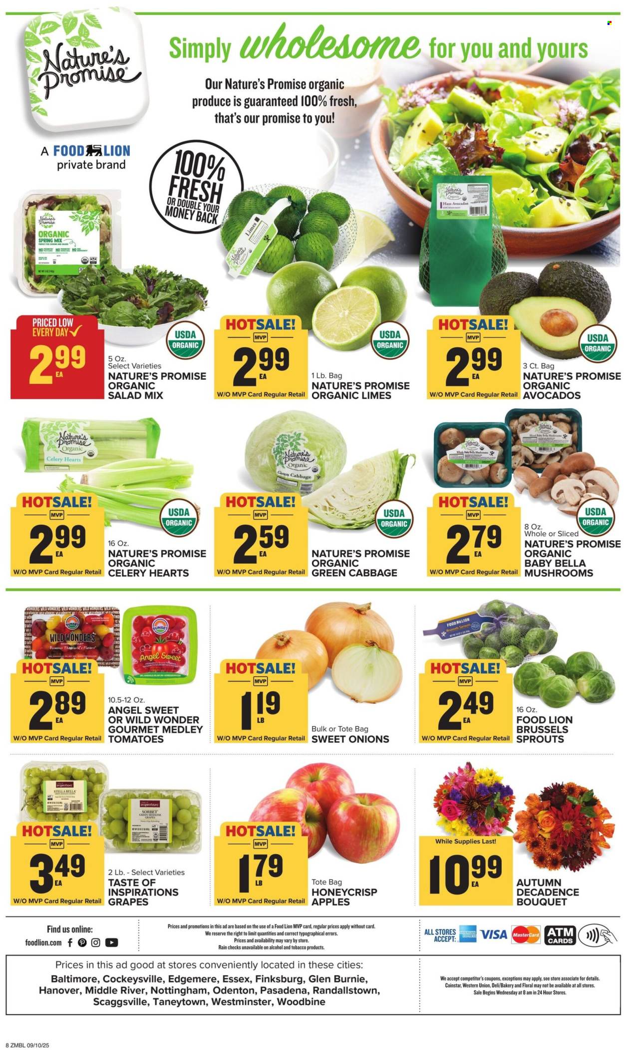 Food Lion ad - 09/10/2025 - 09/16/2025. Page 8