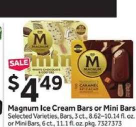 Magnum Ice Cream Bars or Mini Bars
