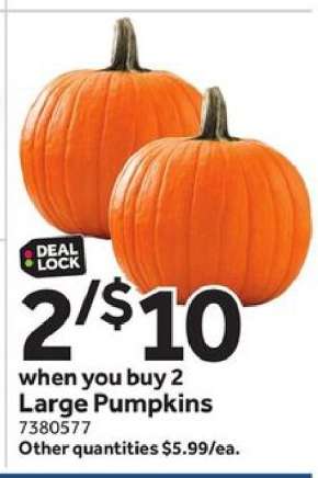 Large Pumpkins