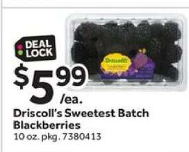 Driscoll’s Sweetest Batch Blackberries