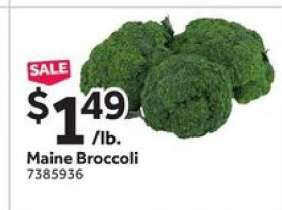 Maine Broccoli