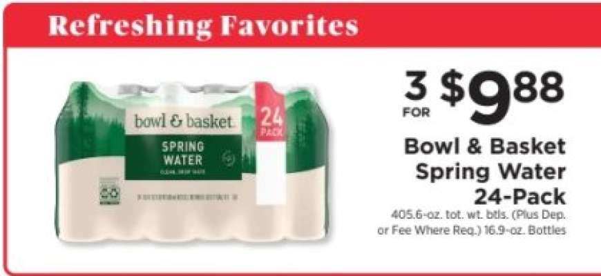 Bowl & Basket Spring Water 24-Pack