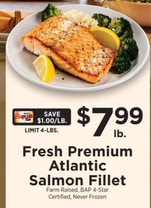 Fresh Premium Atlantic Salmon Fillet