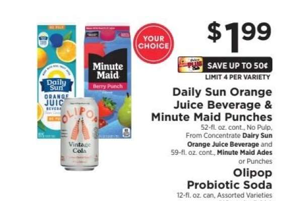 Daily Sun Orange Juice Beverage / Minute Maid Punches