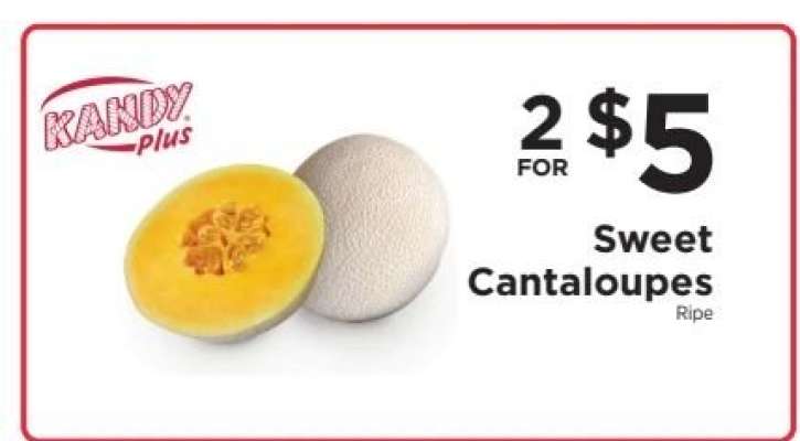 Kandy Plus Sweet Cantaloupes
