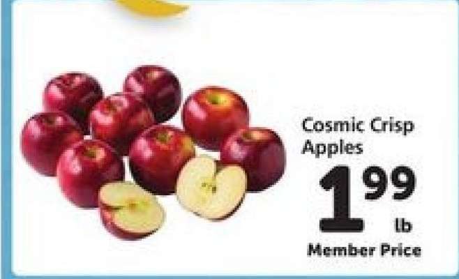 Cosmic Crisp Apples