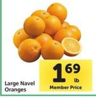 Large Navel Oranges