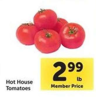 Hot House Tomatoes