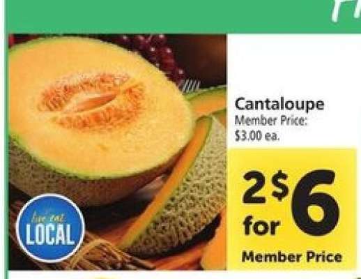 Cantaloupe