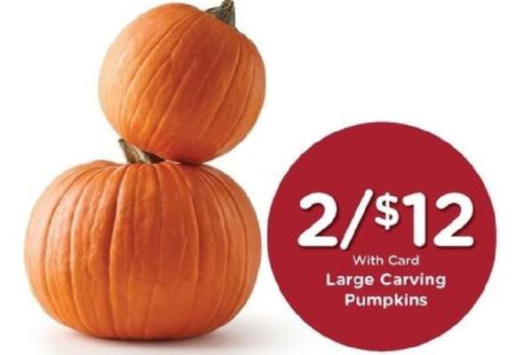 Large Carving Pumpkins