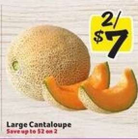 Large Cantaloupe