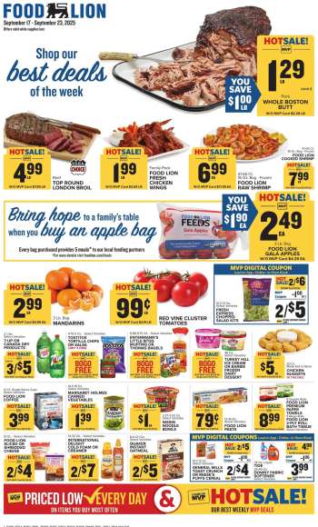 thumbnail - Food Lion Ad - Weekly Ad