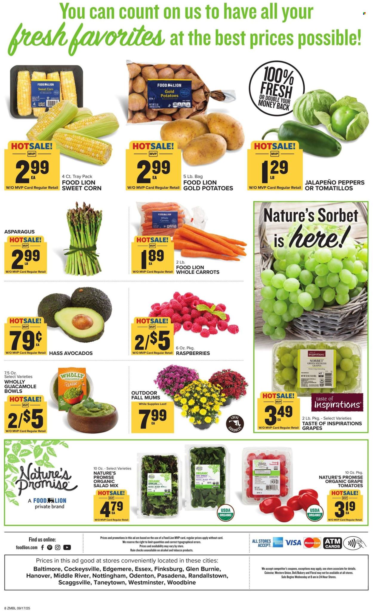 Food Lion ad - 09/17/2025 - 09/23/2025. Page 8