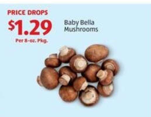 Baby Bella Mushrooms