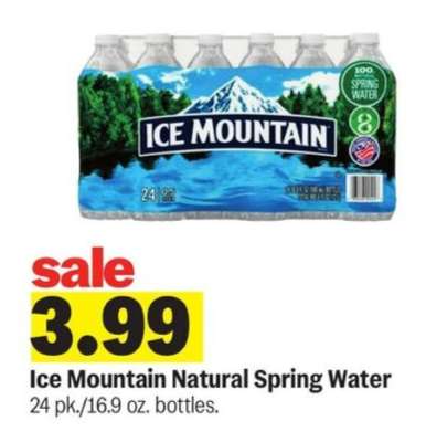 Ice Mountain Natural Spring Water