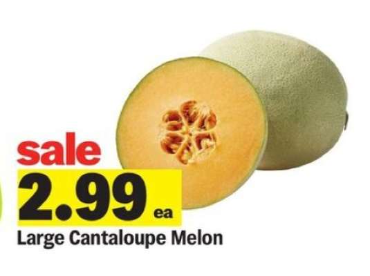 Large Cantaloupe Melon