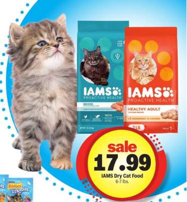 Iams Dry Cat Food