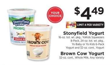 Stonyfield Yogurt, Brown Cow Yogurt