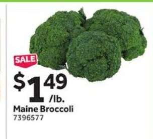 Maine Broccoli