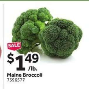 Maine Broccoli