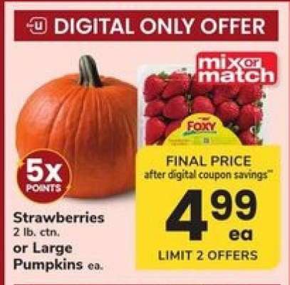 Strawberries or Large Pumpkins