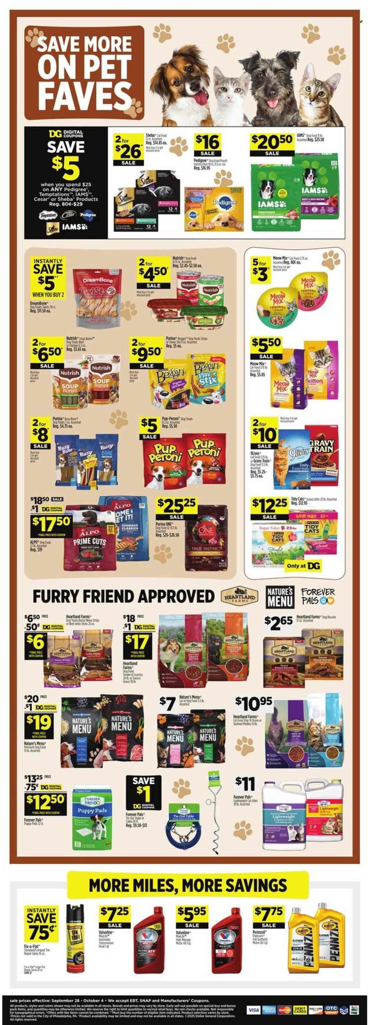 Dollar General ad - 09/28/2025 - 10/04/2025. Page 11