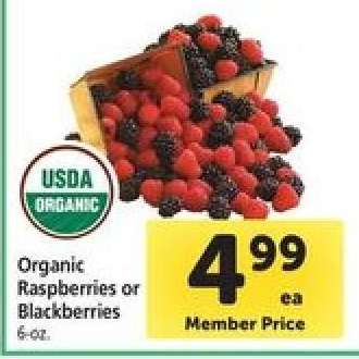 Organic Raspberries or Blackberries