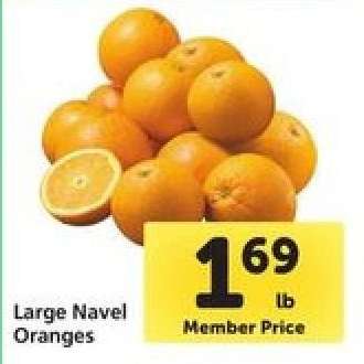 Large Navel Oranges