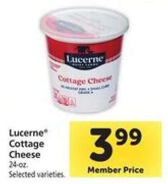 Lucerne Cottage Cheese