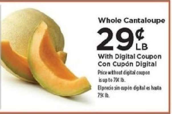 Whole Cantaloupe