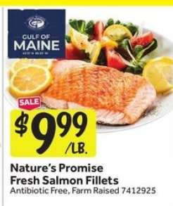 Nature's Promise Fresh Salmon Fillets