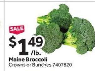 Maine Broccoli