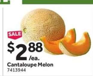 Cantaloupe Melon