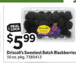 Driscoll’s Sweetest Batch Blackberries