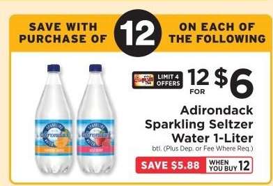 Adirondack Sparkling Seltzer Water 1-Liter