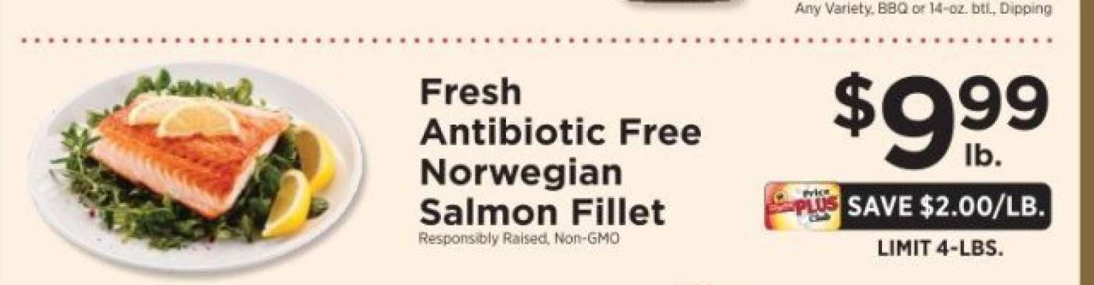 Fresh Antibiotic Free Norwegian Salmon Fillet